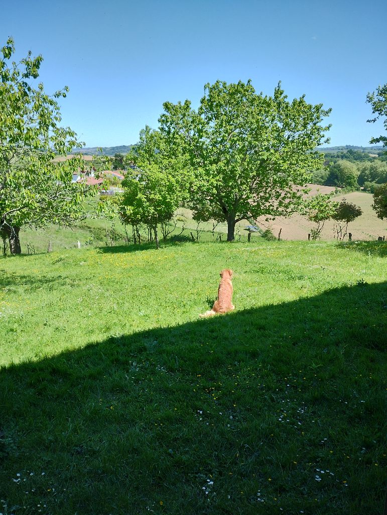 Vacances Pays Basque avril 2025
