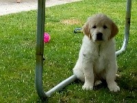 STANLEY