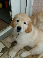 SCOUBI'BOO